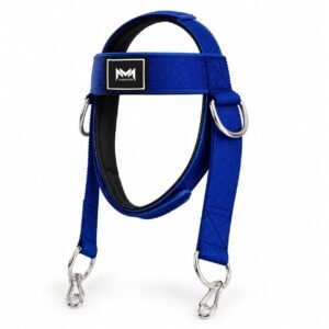 Marsous NeckForge Head Harness
